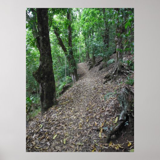 Hawaiian Hiking Trail Poster (Voorkant)