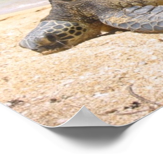 Hawaiian Honu Poster (Hoek)