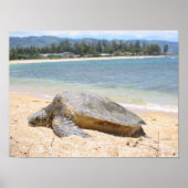 Hawaiian Honu Poster (Voorkant)