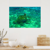 Hawaiian Honu Zee Turtle (36 x 24 inch) Poster (Keuken)