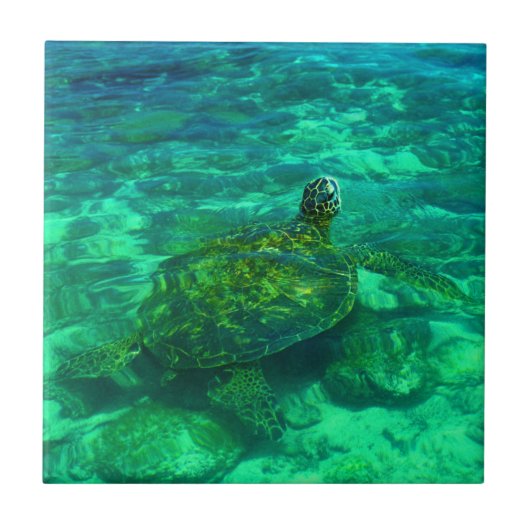 Hawaiian Honu Zee Turtle Tegeltje (Voorkant)