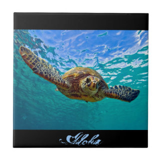 Hawaiian Honu - Zee Turtle Tegeltje