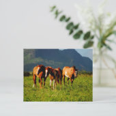 Hawaiian Horses Briefkaart (Staand voorkant)