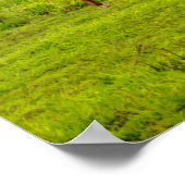 Hawaiian Horses, Hokulei Peak, Kauai, Hawaii Poster (Hoek)