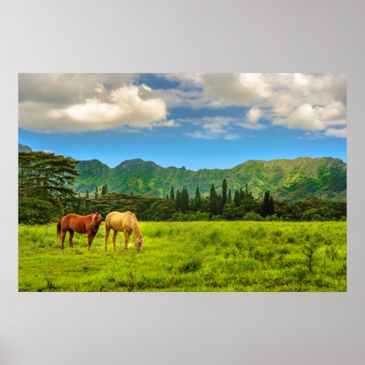 Hawaiian Horses, Hokulei Peak, Kauai, Hawaii Poster (Voorkant)