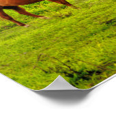 Hawaiian Horses, Hokulei Peak, Kauai, Verticaal Poster (Hoek)