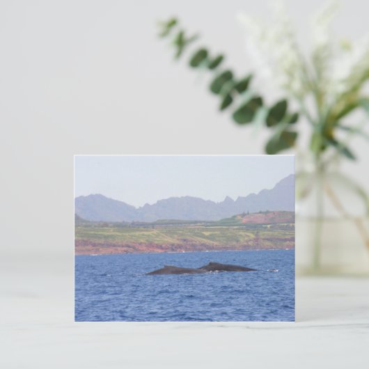 Hawaiian Humpback Whales Briefkaart (Staand voorkant)