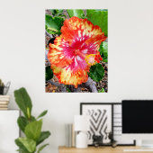 Hawaiian Hybrid Hibiscus Poster