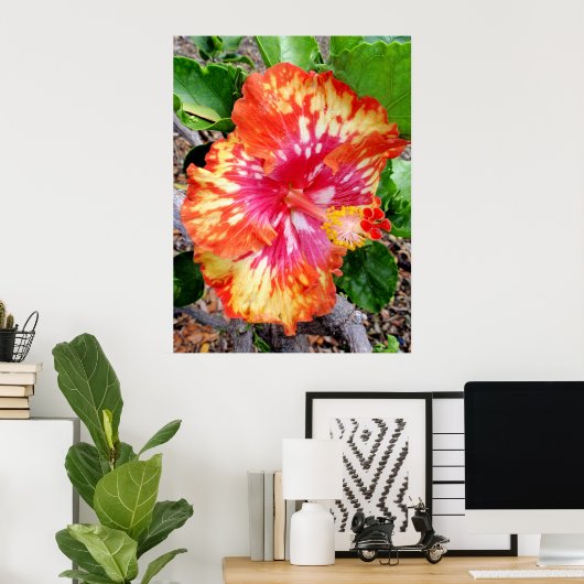 Hawaiian Hybrid Hibiscus Poster (Thuiskantoor)
