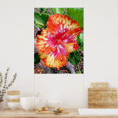 Hawaiian Hybrid Hibiscus Poster (Keuken)