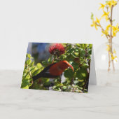 Hawaiian 'I'iwi Kaart (Gele Bloem)