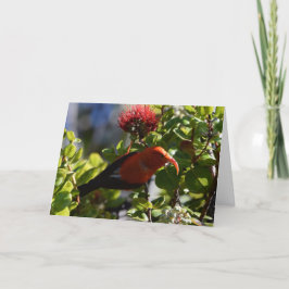 Hawaiian 'I'iwi Kaart