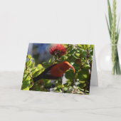 Hawaiian 'I'iwi Kaart (Voorkant)