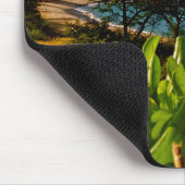 Hawaiian Island of Lanai Photo Muismat (Hoek)