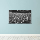 Hawaiian IslandsTaro Field PhotographyHawaii Canvas Afdruk (Insitu (Houten vloer))