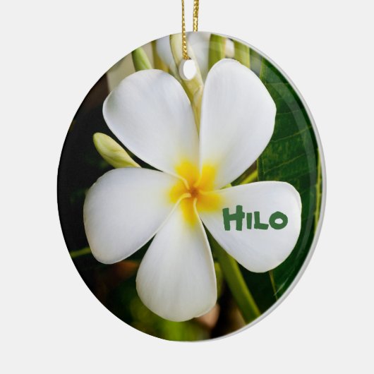 Hawaiian Keepomwille Keramisch Ornament (Links)