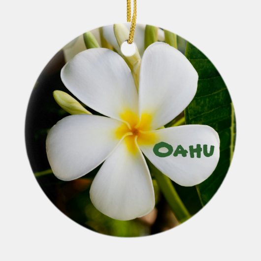 Hawaiian Keepomwille Keramisch Ornament (Voorkant)