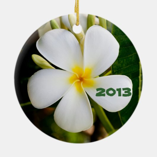 Hawaiian Keepomwille Keramisch Ornament (Achterkant)