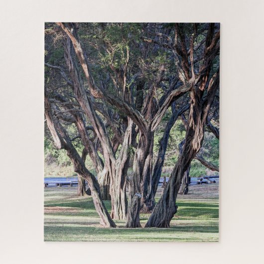 Hawaiian Kiawe Tree puzzel (Verticaal)