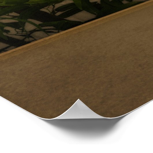 Hawaiian King Kamehameha I. Poster (Hoek)