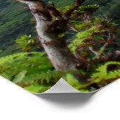 Hawaiian Koolau Mountains Poster (Hoek)