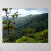 Hawaiian Koolau Mountains Poster (Voorkant)