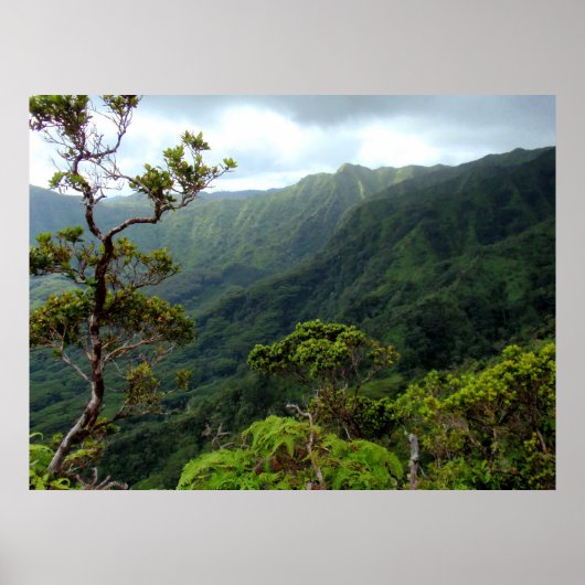 Hawaiian Koolau Mountains Poster (Voorkant)