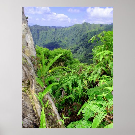 Hawaiian Koolau Mountains Poster (Voorkant)