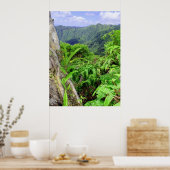 Hawaiian Koolau Mountains Poster (Keuken)