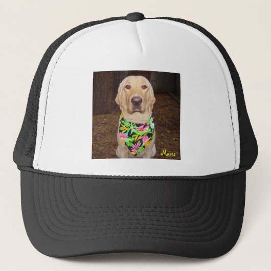 Hawaiian Lab Trucker Pet (Voorkant)