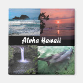 Hawaiian Landscape Collectie Magnet (Voorkant)