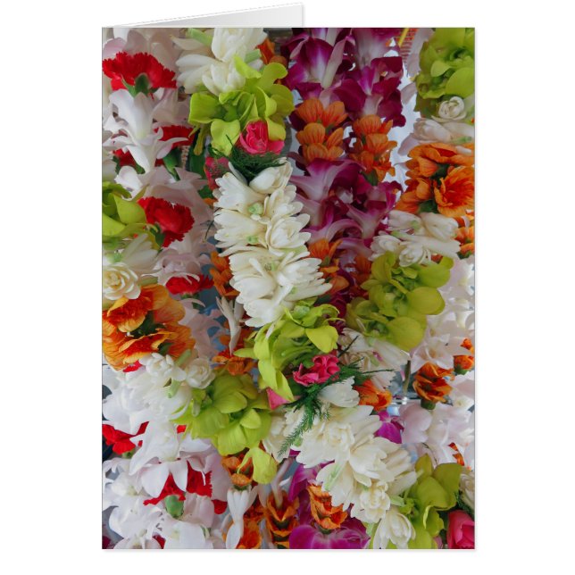 Hawaiian Lei Stand (Voorkant)