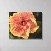 Hawaiian Lila Hibiscus uit Kauai Photography Canvas Afdruk (Voorkant)