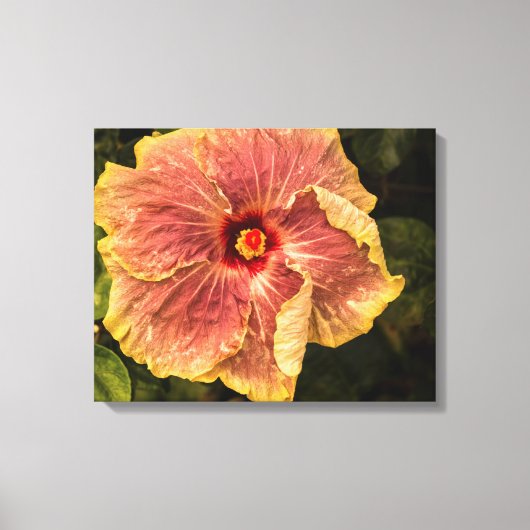 Hawaiian Lila Hibiscus uit Kauai Photography Canvas Afdruk (Voorkant)
