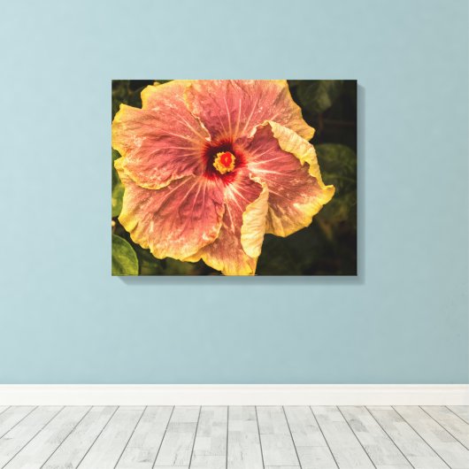 Hawaiian Lila Hibiscus uit Kauai Photography Canvas Afdruk (Insitu (Houten vloer))
