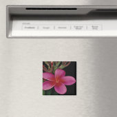 Hawaiian Magnet (Insitu (Vaatwasser))