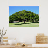 Hawaiian Majestic Tree Poster (Keuken)