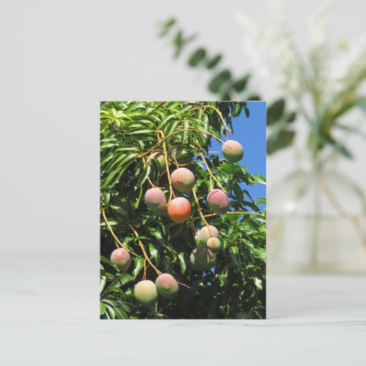 Hawaiian Mango Briefkaart (Staand voorkant)