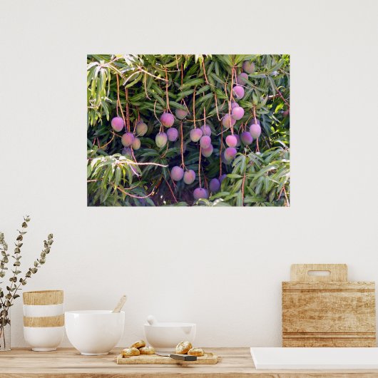 Hawaiian Mango Poster (Keuken)