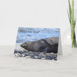 Hawaiian Monk Seal en haar pup Feestdagen Kaart