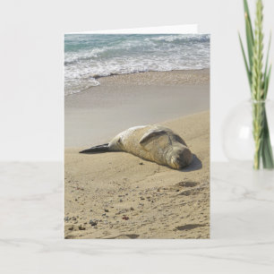Hawaiian Monk Seal Kaart