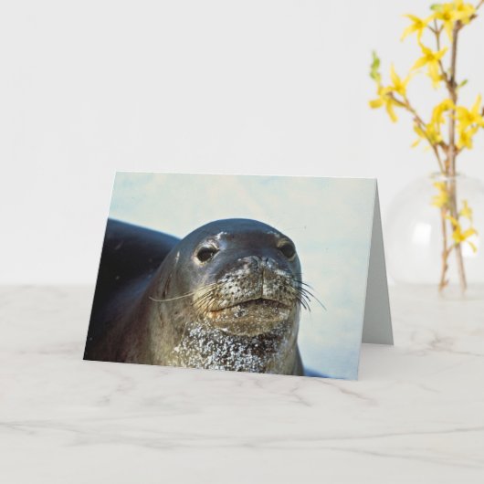 Hawaiian Monk Seal Kaart (Gele Bloem)