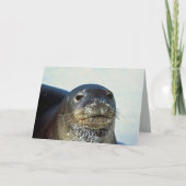 Hawaiian Monk Seal Kaart (Voorkant)