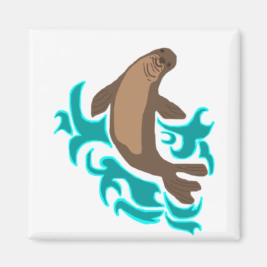 Hawaiian Monk Seal magnet (Voorkant)
