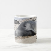 Hawaiian Monk Seal slaapt op strand Koffiemok (Center)