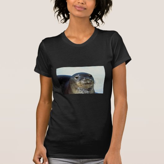 Hawaiian Monk Seal T-shirt (Voorkant)