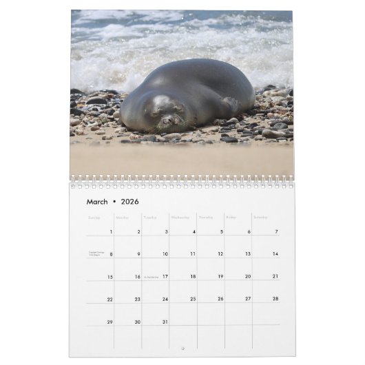 Hawaiian Monk Seals Kalender (Mar 2026)