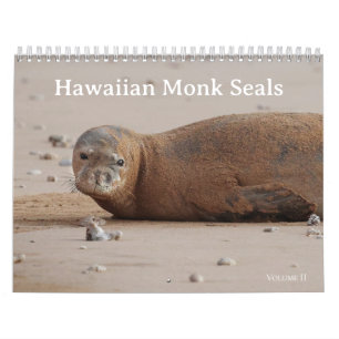 Hawaiian Monk Seals Kalender