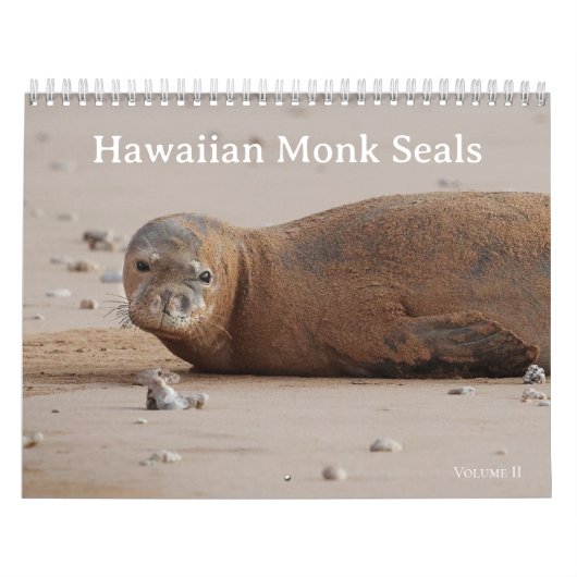 Hawaiian Monk Seals Kalender (Hoes)