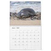 Hawaiian Monk Seals Kalender (Mar 2027)